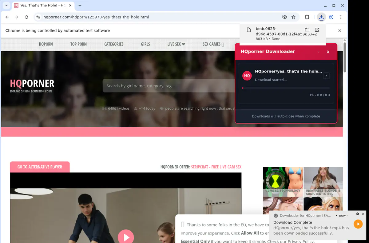 Hqporner Video Downloader screenshot 2