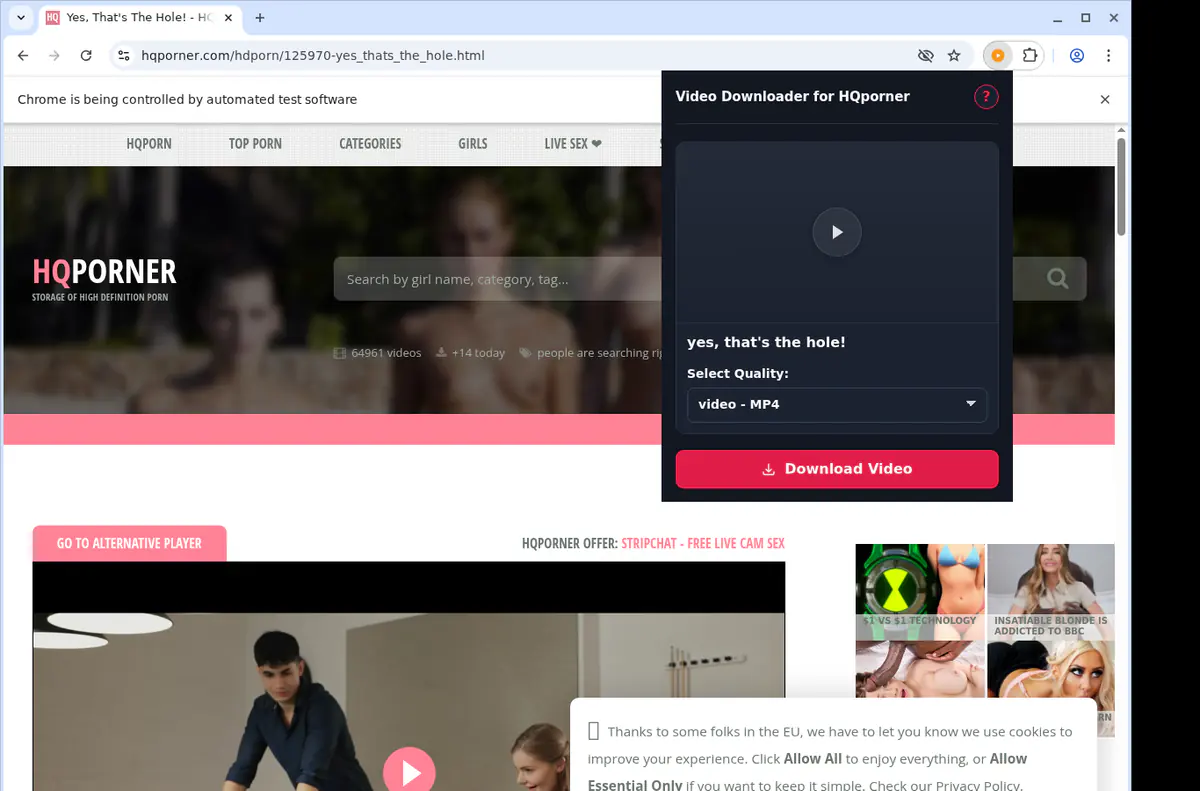 Hqporner Video Downloader screenshot 3